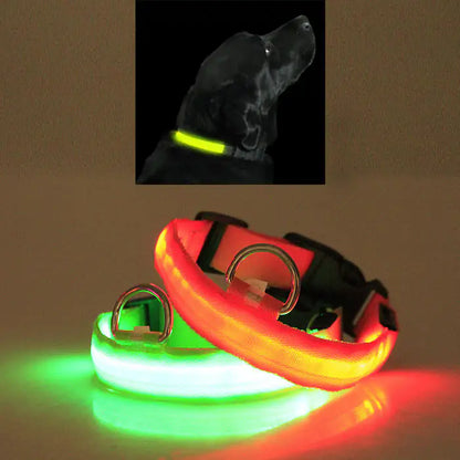 Glowing Guardian Pet Collar