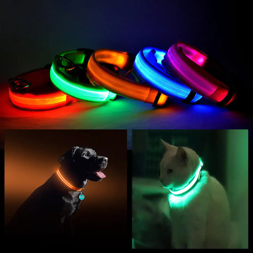 Glowing Guardian Pet Collar